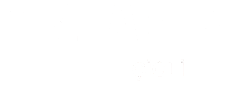 theme-sticky-logo-alt