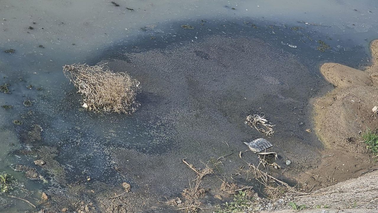 Manisa Büyükşehir, temiz çevre için görev başında