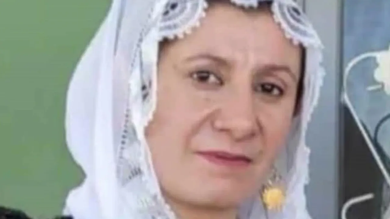 4 çocuk annesi kadın, halı yıkarken akıma kapılıp öldü